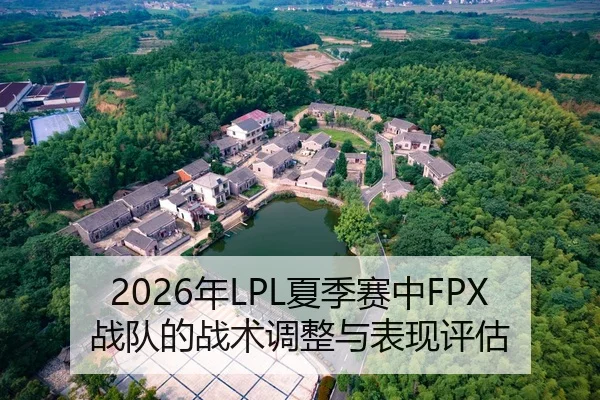 2026年LPL夏季赛中FPX战队的战术调整与表现评估