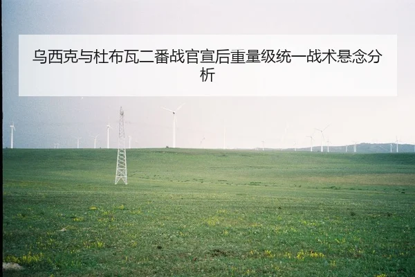 wu-xi-ke-yu-du-bu-wa-er-fan-zhan-guan-xuan-hou-zhong-liang-ji-tong-yi-zhan-shu-xuan-nian-fen-xi-2-970.jpg