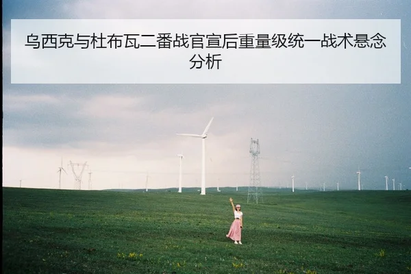 乌西克与杜布瓦二番战官宣后重量级统一战术悬念分析