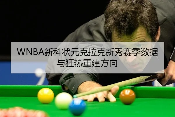 WNBA新科状元克拉克新秀赛季数据与狂热重建方向